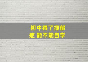 初中得了抑郁症 能不能自学